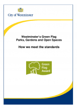 Green Flag WCC Standards.pdf