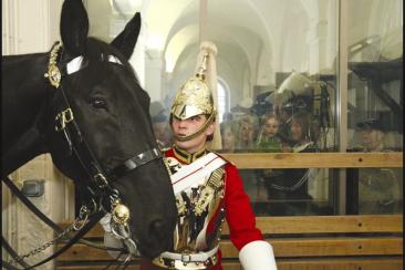 Horse and Guard