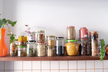 Row of glass jars filled with dried food on a shelf with plants