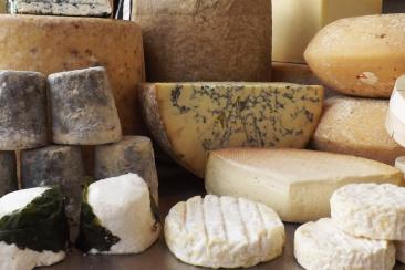 A selection of cheese