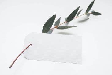 A plant stem slotted inside a gift card tag.