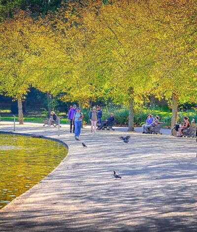 Colour photo of people walking in a London park