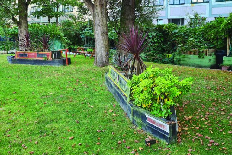 Some raised beds with flowers and trees on the Lisson Green Estate