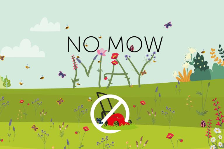 A graphic banner of a park with the words 'no mow may' made out of plants and flowers