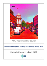 Parking Occupancy Survey 2022