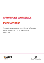 Affordable Workspace Evidence Base (WCC, July 2023)