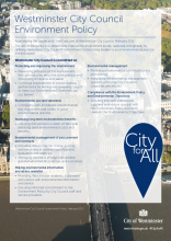 Westminster City Council Environment Policy