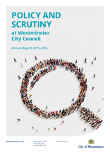 Policy and Scrutiny annual report 2015