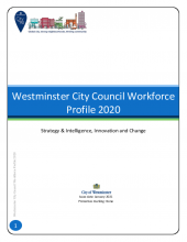 Workforce Profile report 2020