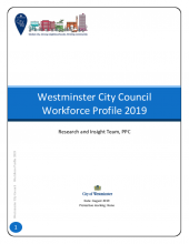Workforce Profile report 2019