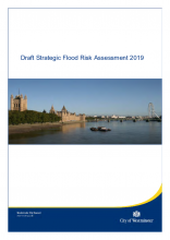 EN ENV 010 - Draft strategic flood risk assessment