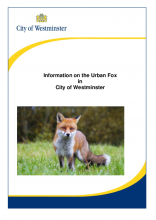 Urban fox information