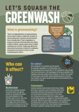 Greenwashing infographic