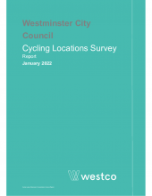 Cycle lanes extension consultation
