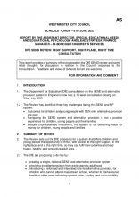 6 June 2022 - A5 DfE SEND Consultation.pdf .pdf